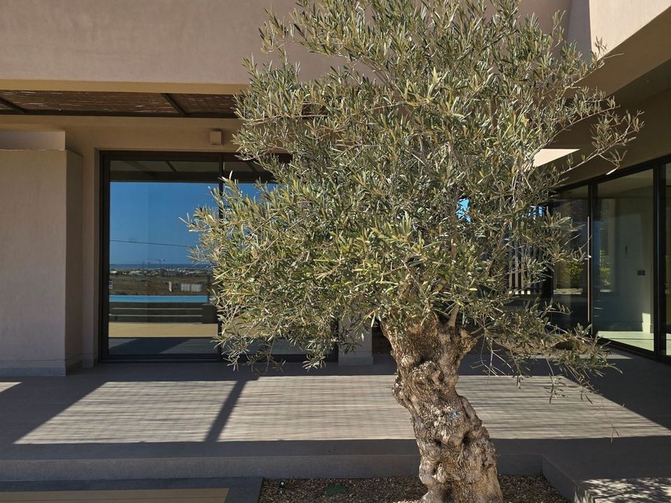 Villa i Corralejo, Fuerteventura - bilde 4